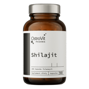 Shilajit - 90 kapsules